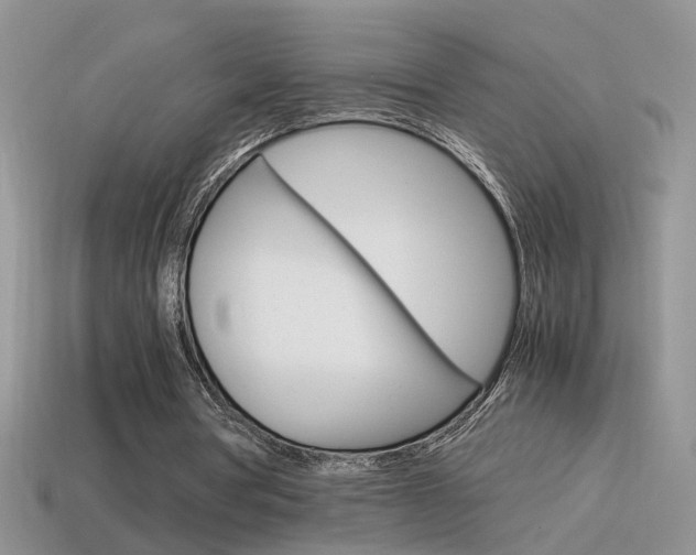 X0000115560386200911061152