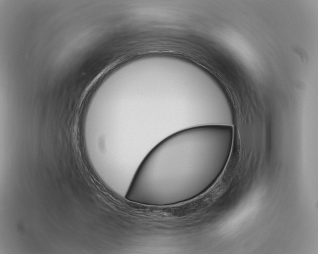 X0000115560387200911061152