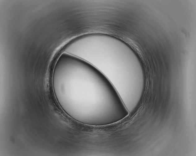 X0000115560388200911061152