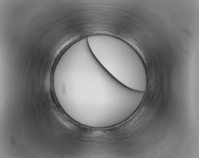 X0000115560390200911061152