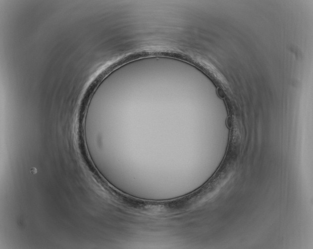 X0000115560391200911061152