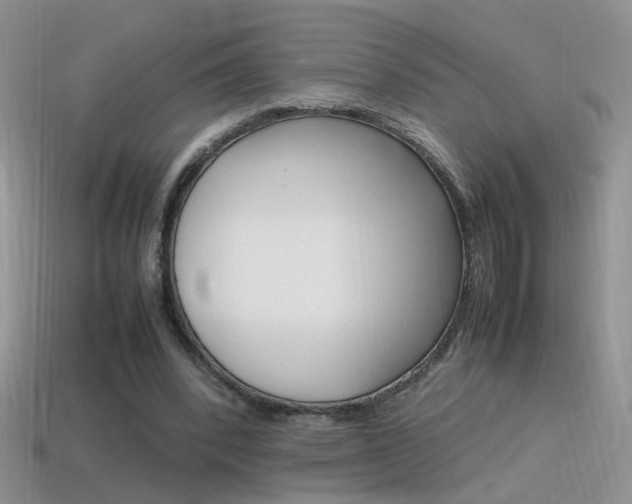 X0000115560392200911061152