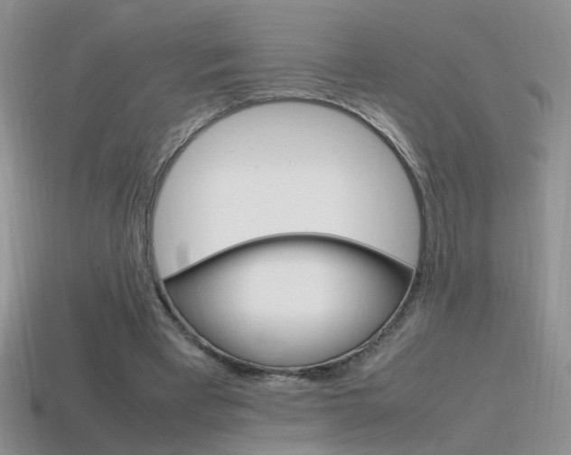 X0000115560393200911061152