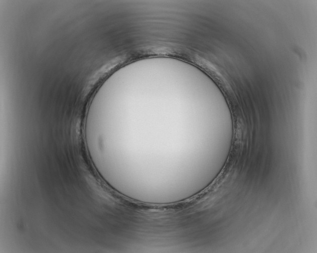 X0000115560394200911061152