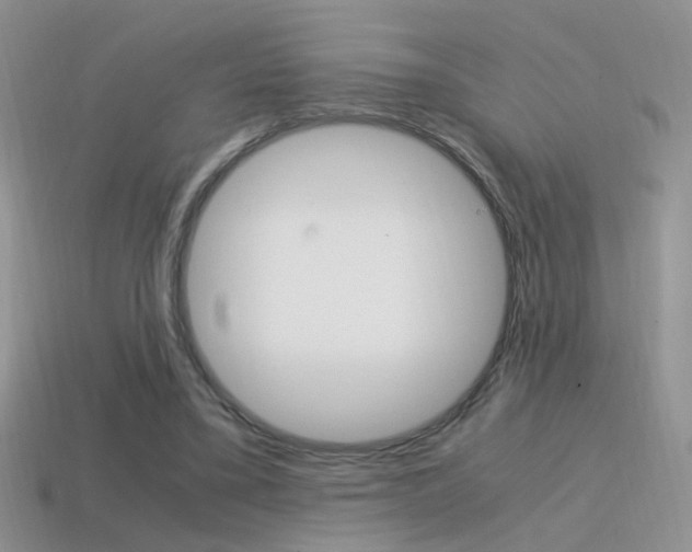 X0000115560395200911061152