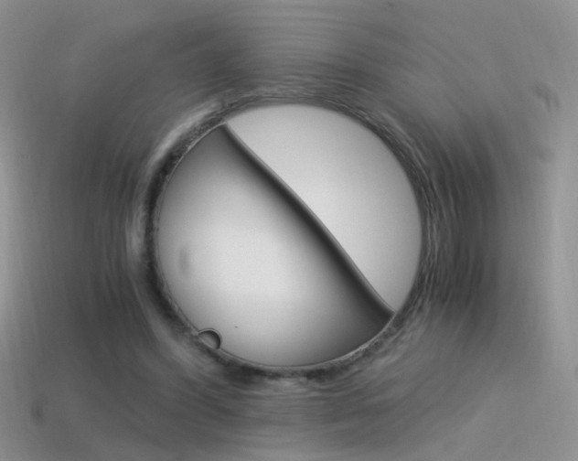 X0000115560396200911061152