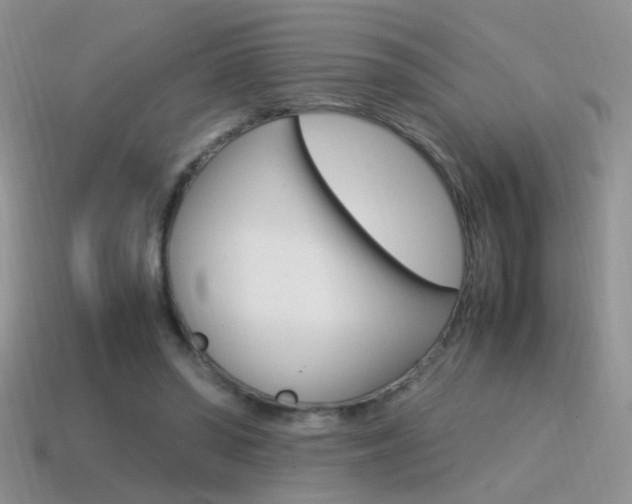 X0000115560398200911061152