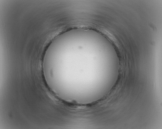 X0000115560401200911061152