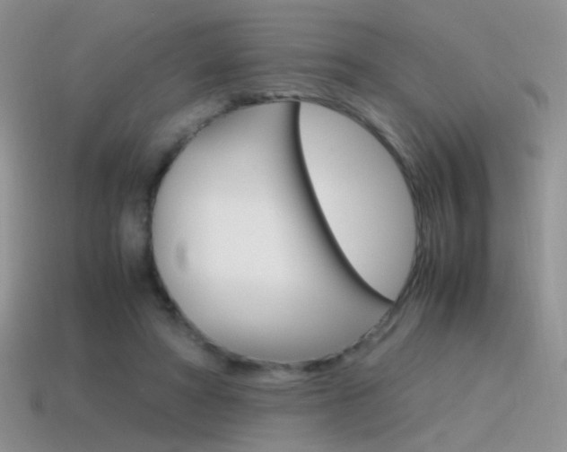 X0000115560402200911061152