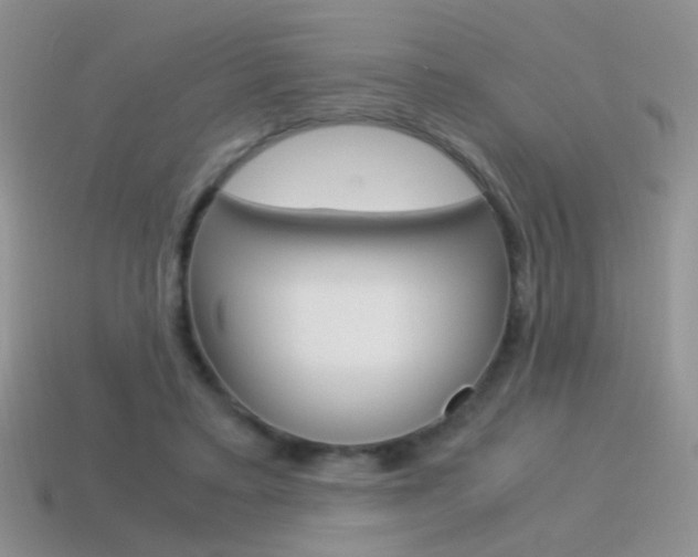 X0000115560403200911061152