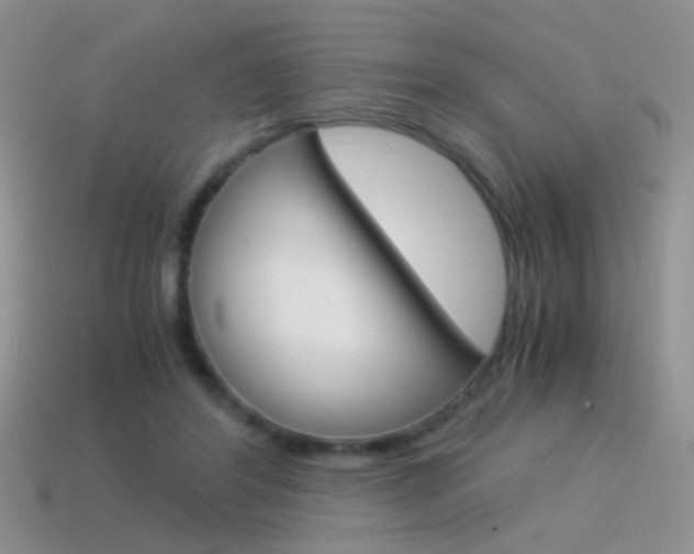 X0000115560404200911061152