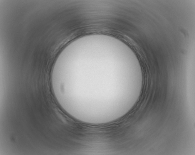 X0000115560405200911061152