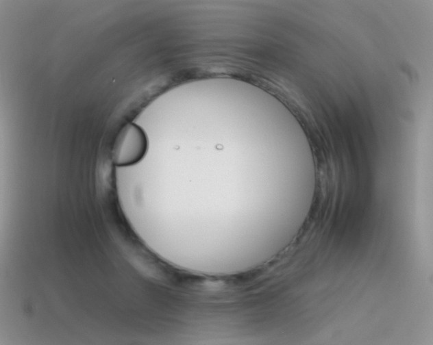 X0000115560406200911061152