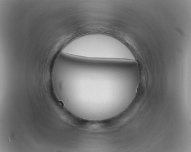 X0000115560407200911061152