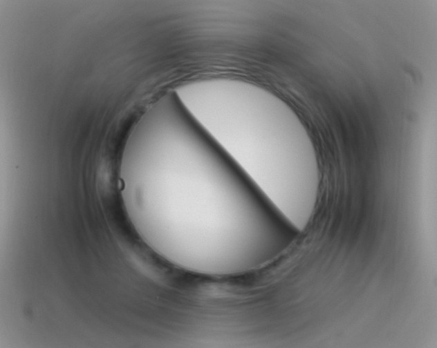 X0000115560408200911061152