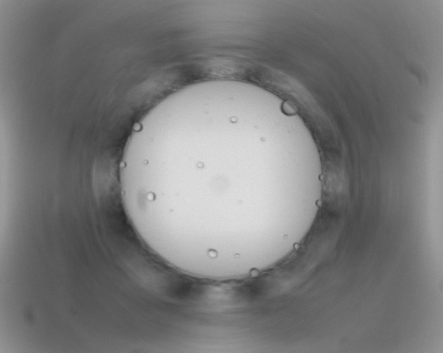 X0000115560411200911061152