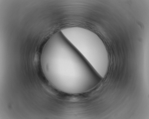 X0000115560412200911061152