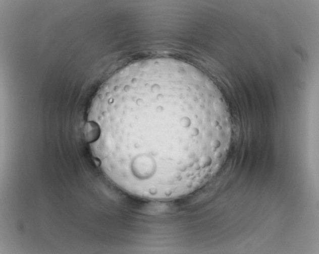 X0000115560418200911061152