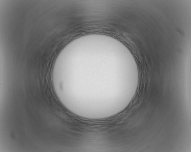 X0000115560419200911061152