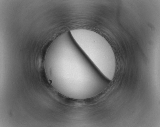X0000115560420200911061152