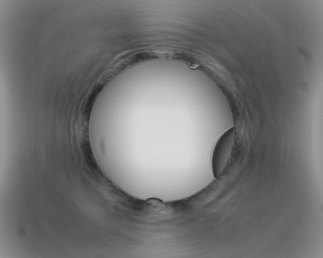 X0000115560421200911061152