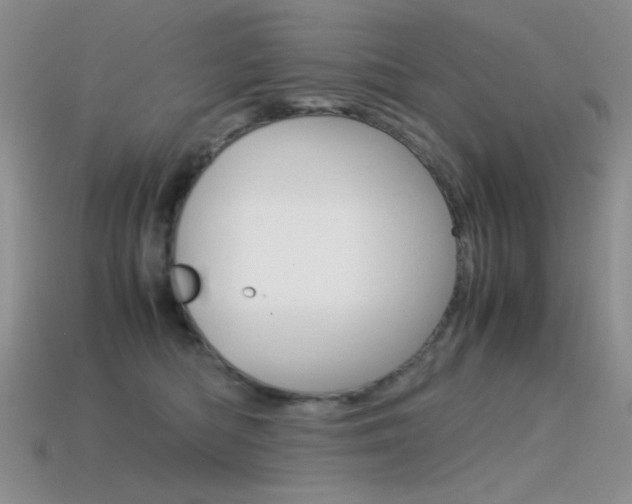 X0000115560422200911061152