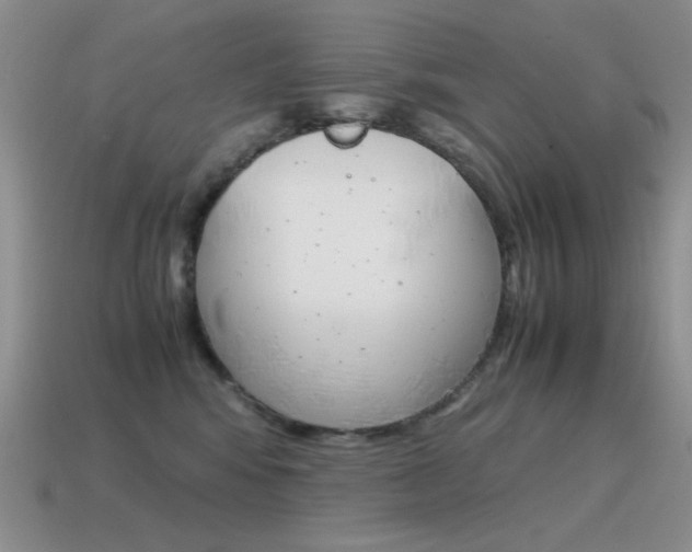 X0000115560424200911061152