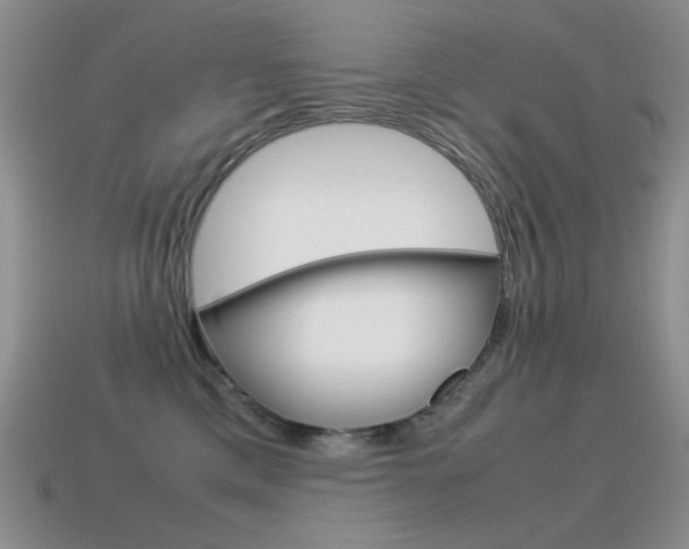 X0000115560425200911061152