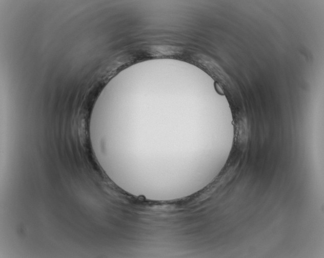 X0000115560426200911061152