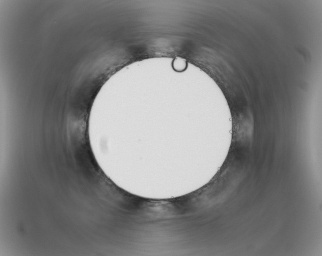 X0000115560427200911061152