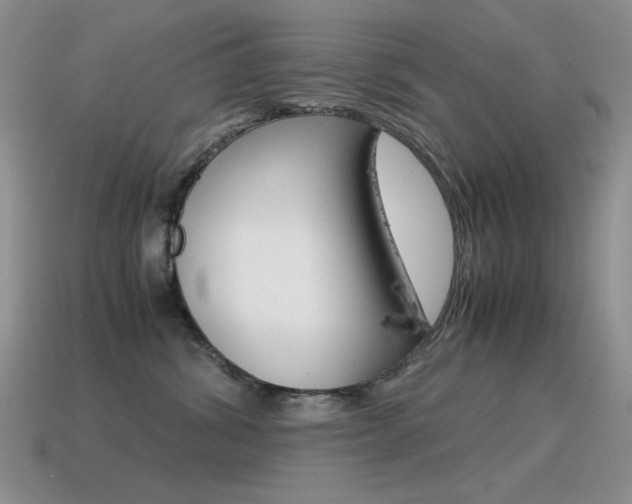 X0000115560428200911061152