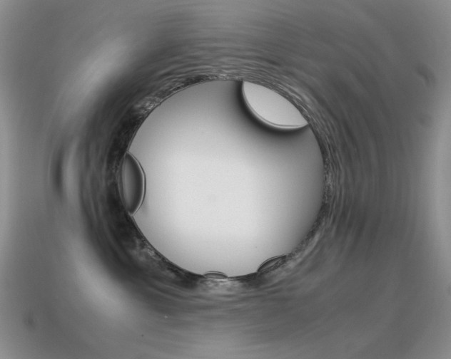 X0000115560429200911061151