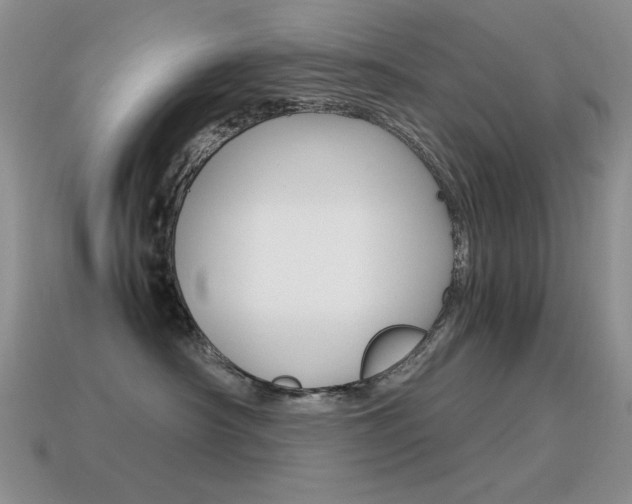 X0000115560430200911061151