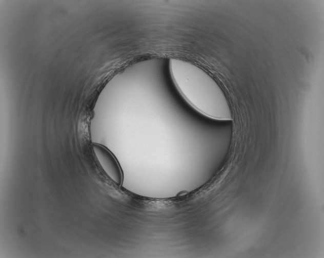 X0000115560432200911061151