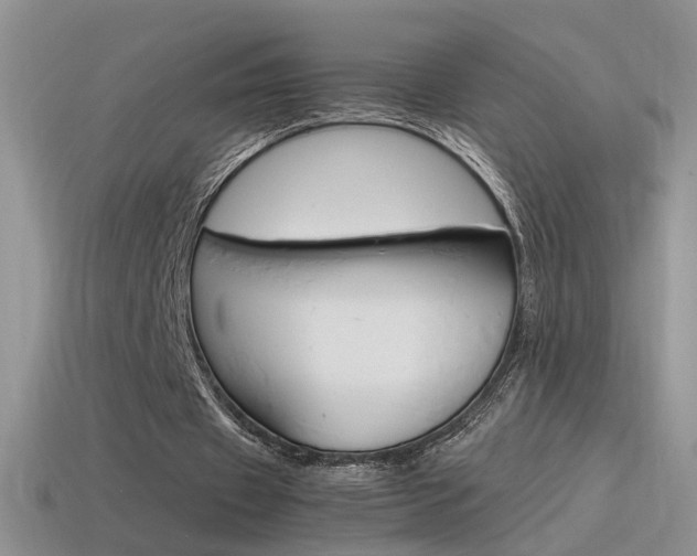 X0000115560433200911061151