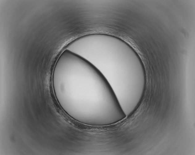 X0000115560434200911061151