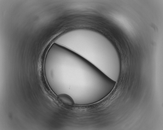 X0000115560435200911061151