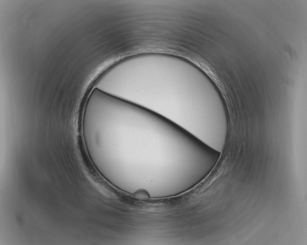 X0000115560438200911061151