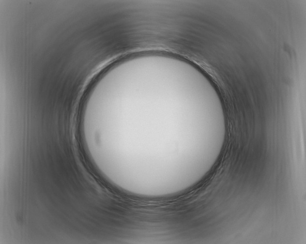 X0000115560440200911061151