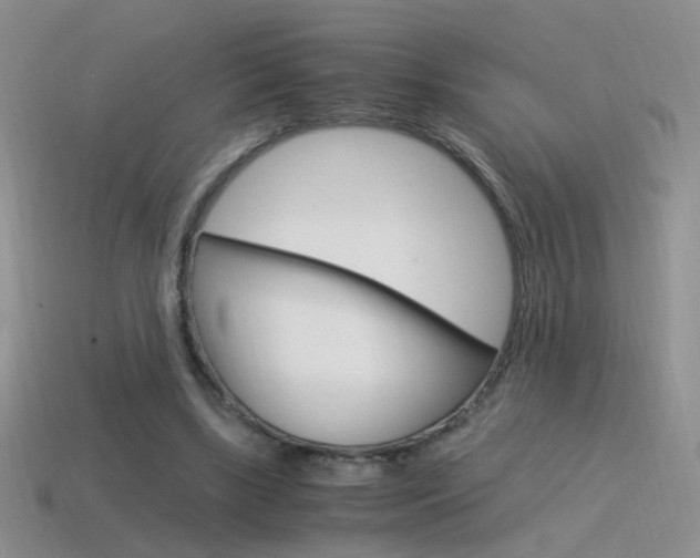 X0000115560443200911061151