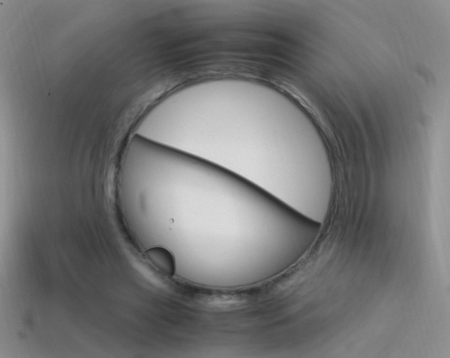 X0000115560445200911061151
