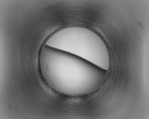 X0000115560447200911061151