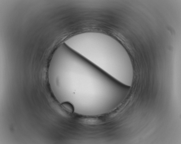 X0000115560449200911061151