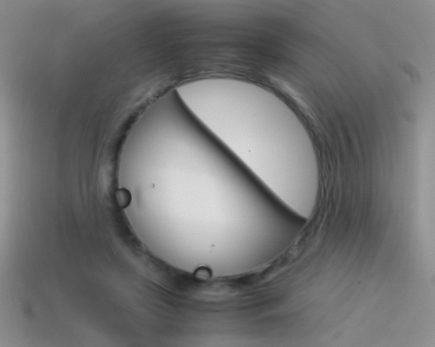 X0000115560451200911061151