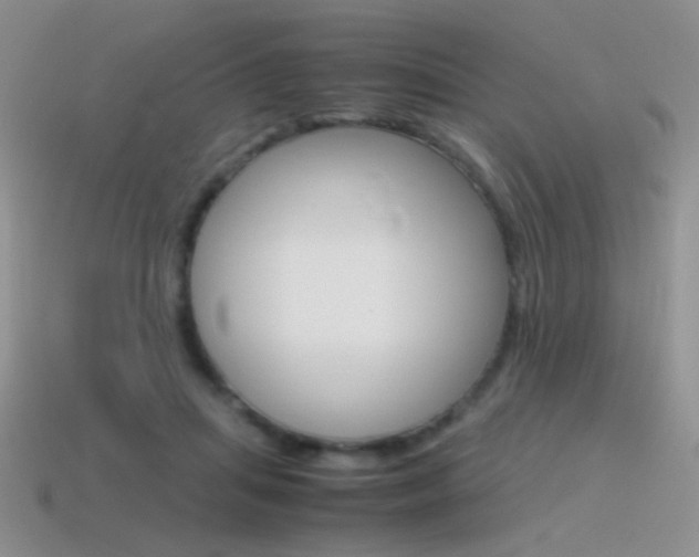 X0000115560455200911061151