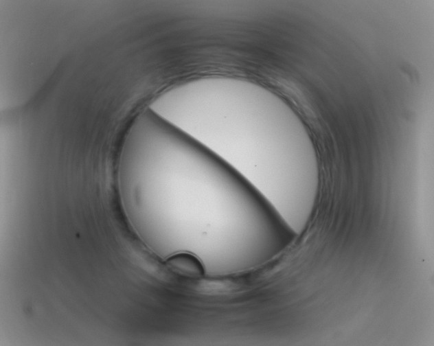 X0000115560457200911061151