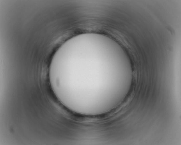 X0000115560458200911061151
