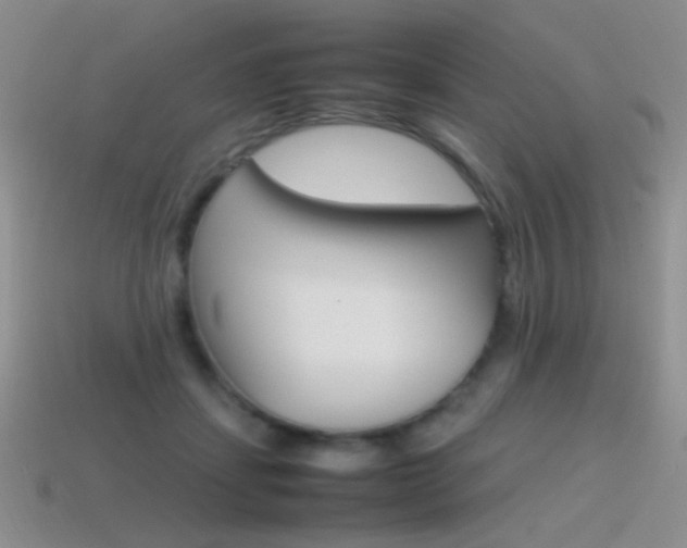 X0000115560459200911061151