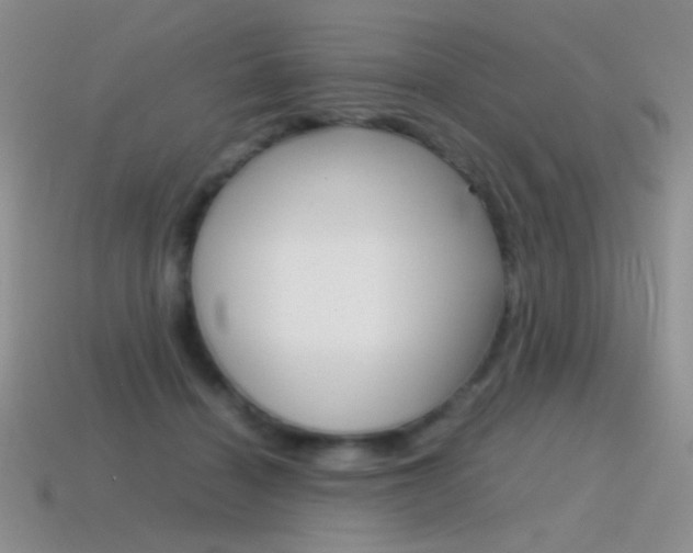 X0000115560460200911061151