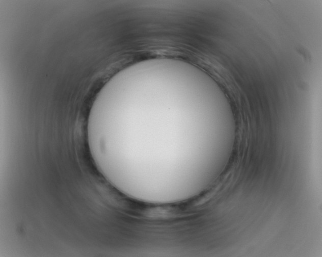 X0000115560461200911061151